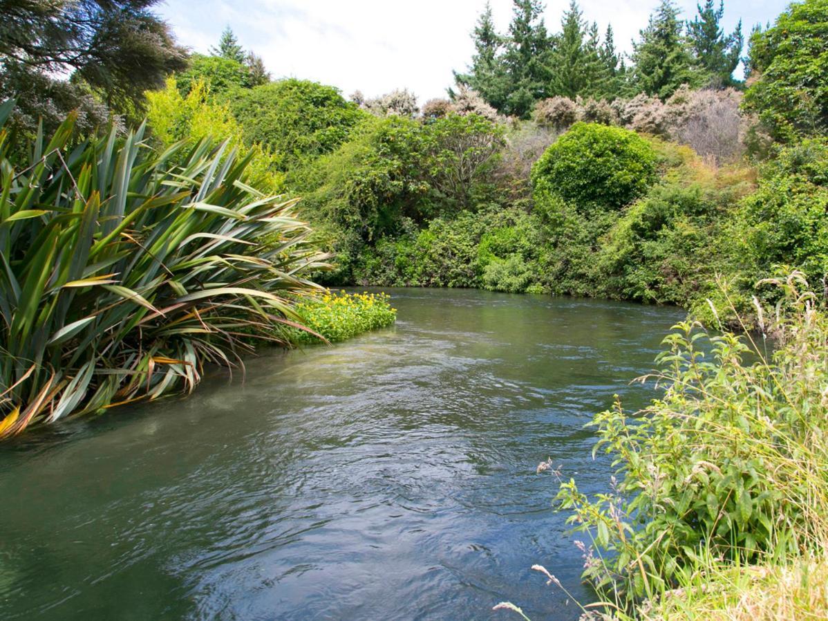 Bellbird Cottage - Lake Taupo Bach Waitahanui Ngoại thất bức ảnh