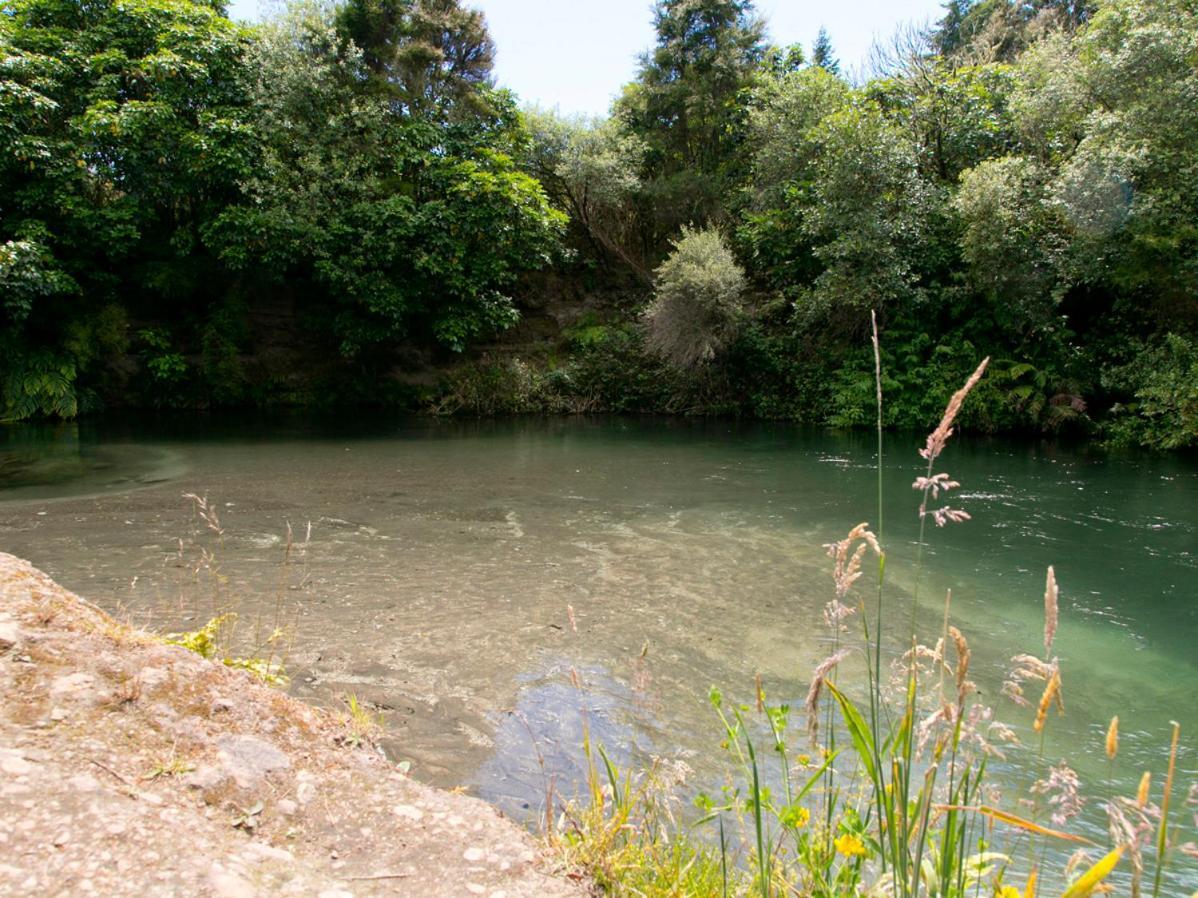 Bellbird Cottage - Lake Taupo Bach Waitahanui Ngoại thất bức ảnh