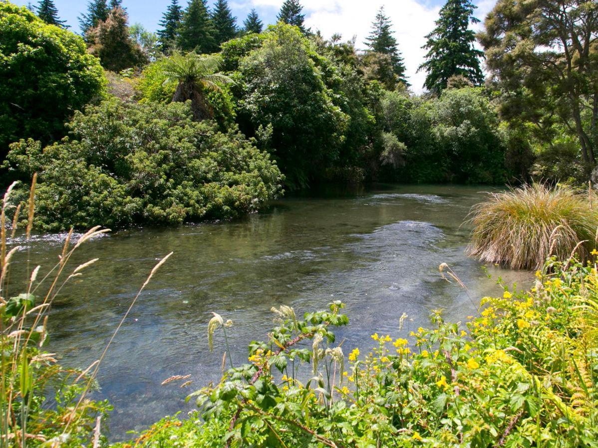 Bellbird Cottage - Lake Taupo Bach Waitahanui Ngoại thất bức ảnh