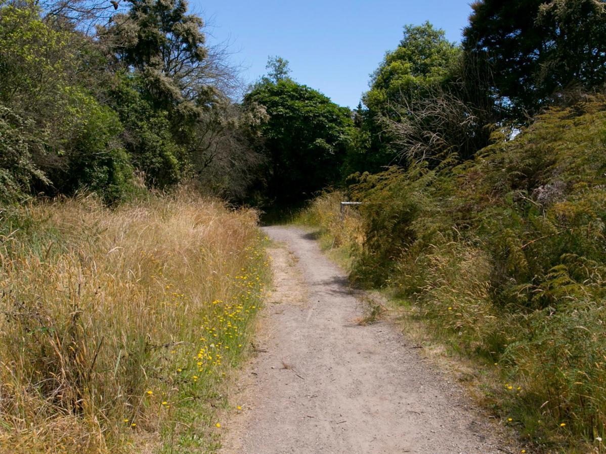 Bellbird Cottage - Lake Taupo Bach Waitahanui Ngoại thất bức ảnh